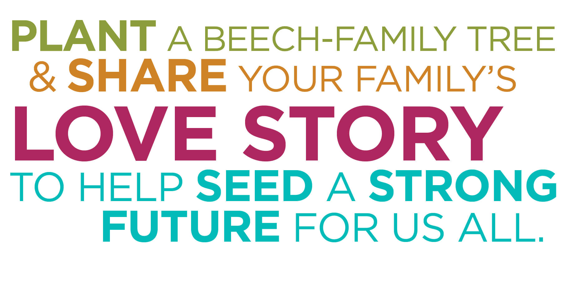 Plant a beech tree and share your family's love story to help seed a strong future for us all.