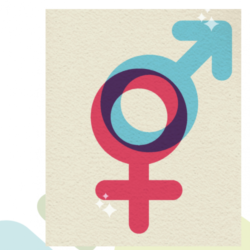Transgender, Non-Binary, and Gender Fluid Fast Facts for Parents